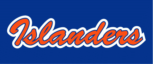 New York Islanders 2008-2017 Wordmark Logo iron on heat transfer